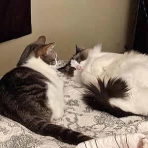 Meet your Posher, Deborah